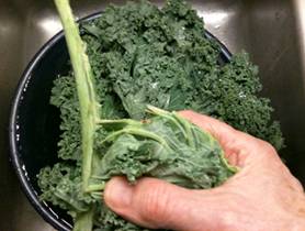 Description: Description: Description: Description: Description: Kale-Carrots-Prep-1-4x6.jpg