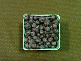 Share-Week-3 Blueberries-4x6.jpg