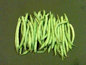 Description: Description: Description: Description: Description: MRVG-CSA-Week 4 07-21-2011-Green Beans-4x6.jpg
